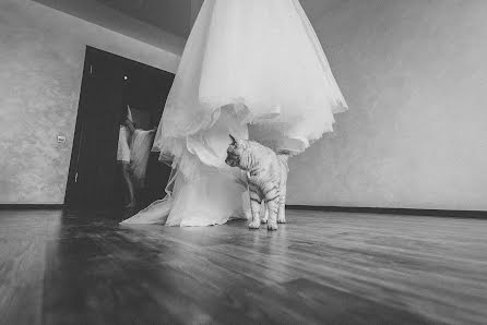 結婚式の写真家Vadim Kurch (kurch)。2015 6月24日の写真