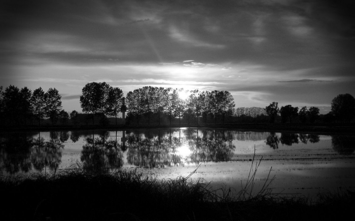 Tramonto sulle risaie di elfmir