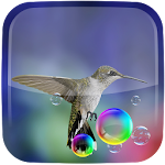 Cover Image of Download 3D Bird Live Wallpaper 2.0 APK