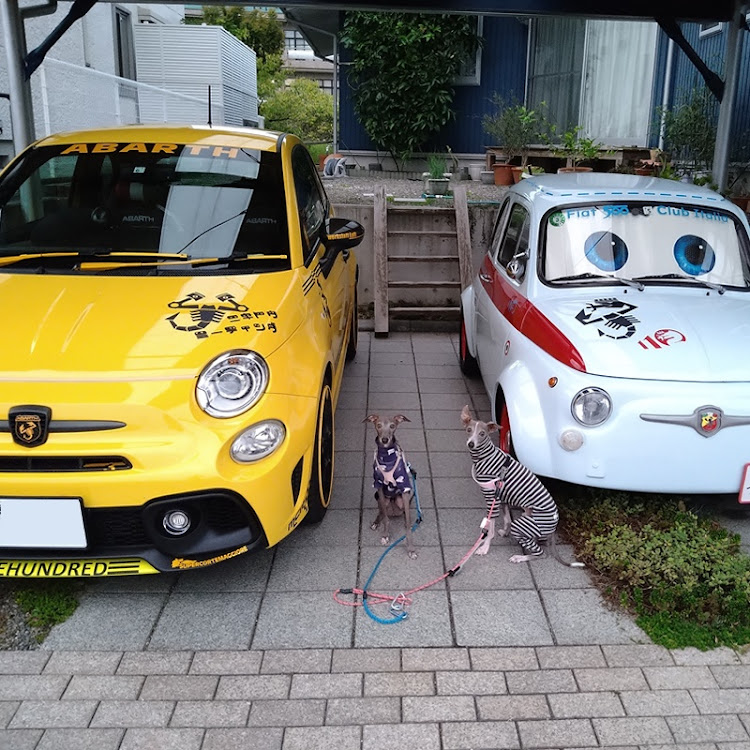 500のnishiさんが投稿したカスタム事例の投稿画像5枚目