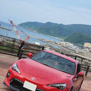 86 ZN6
