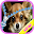 Cute Puppy Zip Lock Screen Download on Windows