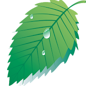 Hibernate - Real Battery Saver