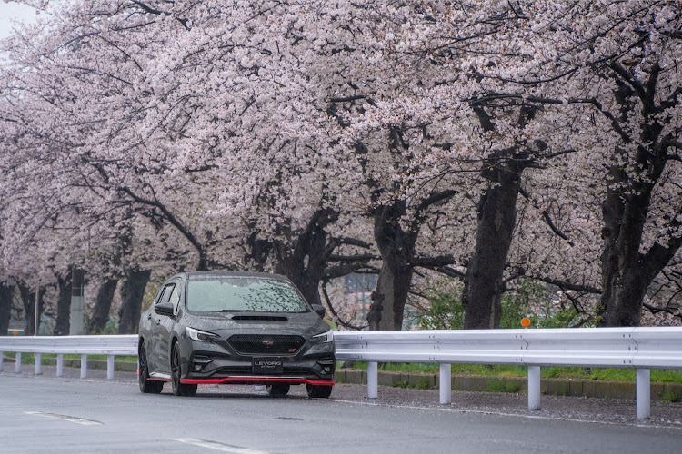 レヴォーグのいつもイイネ&コメントありがとうございます🙇‍♂️・目指せPickUpCars・雨が滴るいい車・埼玉県三郷市・サクラと愛車に関するカスタム事例の投稿画像6枚目