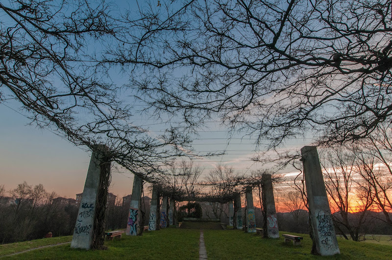 Al Parco Nord di gianfranco_cosmai