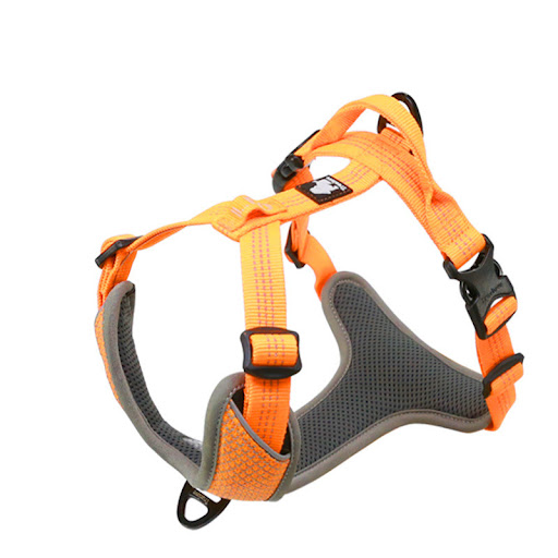 Title 3, Explosion Proof Flush Strap Reflective Chest Ve...