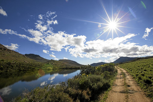 Skimmelberg is an organic farm and nature reserve near Clanwilliam that offers rooibos tea tours and tastings.