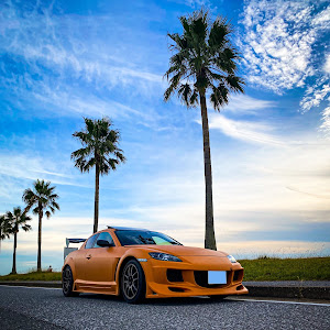 RX-8 SE3P