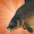 Carp Fishing Simulator1.9.8.7