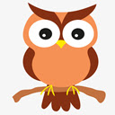 Owl Wallpaper HD New Tab Themes