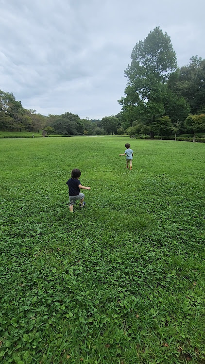 の投稿画像4枚目