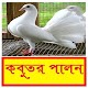 Download কবুতর পালনের সঠিক পদ্ধতি ~ Pigeon Farming For PC Windows and Mac 1.0