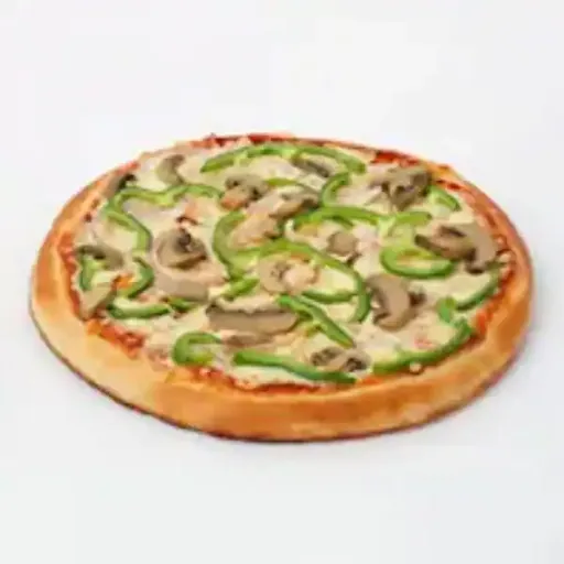 Mixed Veg Pizza