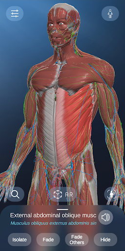 Screenshot AR Anatomy