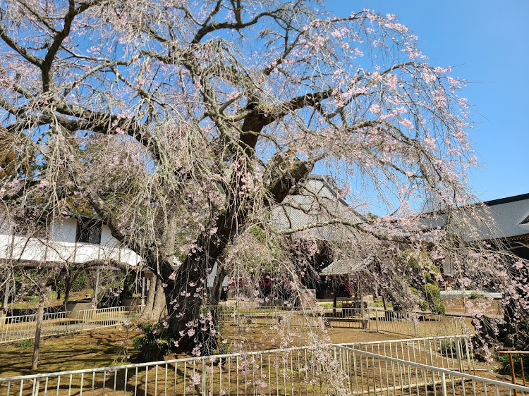 の投稿画像5枚目