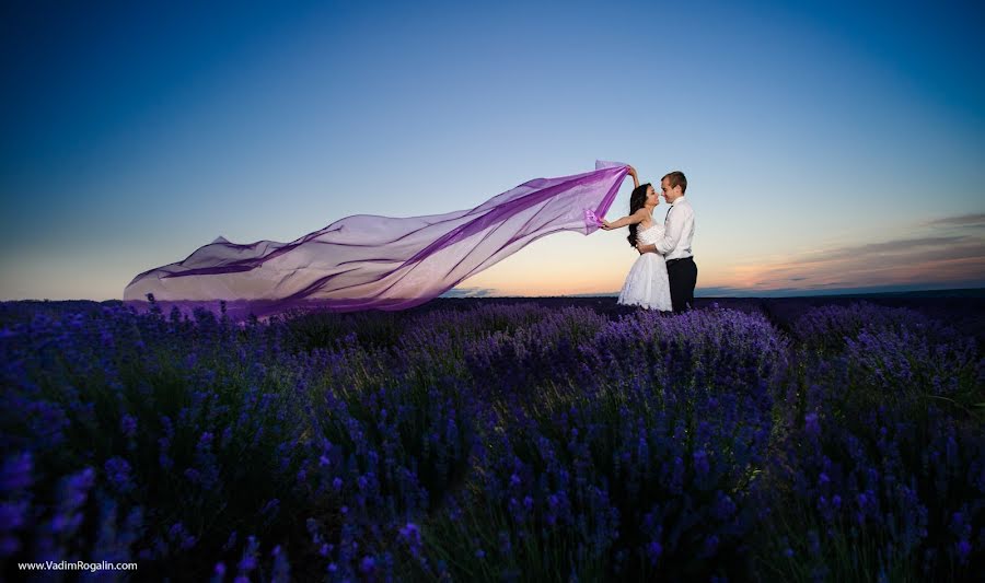 Wedding photographer Vadim Rogalin (zoosman). Photo of 22 June 2015