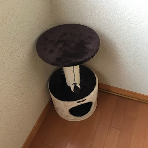 ミニ ハッチバック ワン