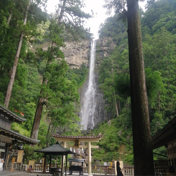 クラウンアスリートの南紀旅行・ヤマキのマグロ丼・那智の滝・橋杭岩とくじら博物館・白浜アドベンチャーワールドに関するカスタム事例の投稿画像2枚目