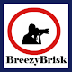 Download Breezy Brisk-BB For PC Windows and Mac