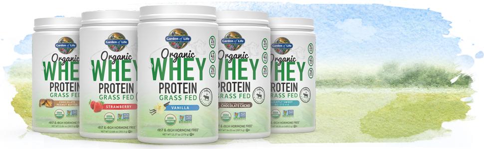 organic whey protein grass fed non gmo usda organic