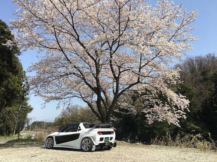 AZ-1のドライブ・DIY・桜・バイクに関するカスタム事例の投稿画像2枚目