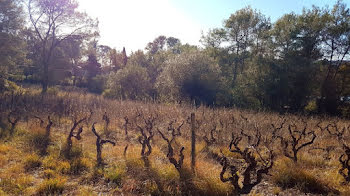 terrain à Bagnols-en-Forêt (83)