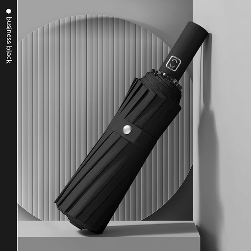 Title 1, 16-Bone Fully Automatic Umbrella Reinforced Lar...