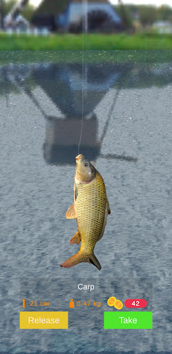 Screenshot Bobber Fishing