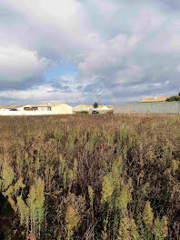 maison neuve à Ciré-d'Aunis (17)