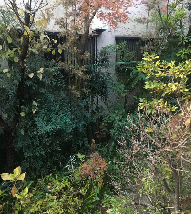 コペンの年末は大掃除をいたしましょう！・幸せは自分自身で見出す物で他人から与えられる物では有りません！最高だね！・貧乏をしても心❤️の貧乏人にはなりたく無いですね！・人は人！自分が納得出来る生き方をしましょう最高だね！・心豊かに❤️過ごしましょう！に関するカスタム事例の投稿画像3枚目
