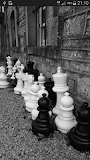 Italian Opening