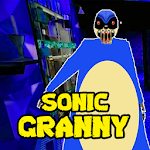 Cover Image of डाउनलोड SuperSonic Granny : Scary Fast Horror MOD 2020 1 APK