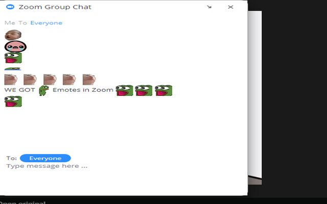 Better Zoom Chat Preview image 0