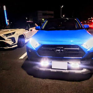 RAV4 MXAA54