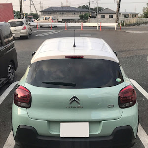 C3 B6型