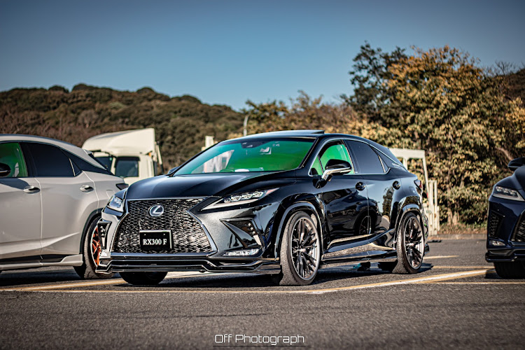 RXの11月にエントリーします・2021ベストショット・#LMGに関するカスタム事例の投稿画像1枚目