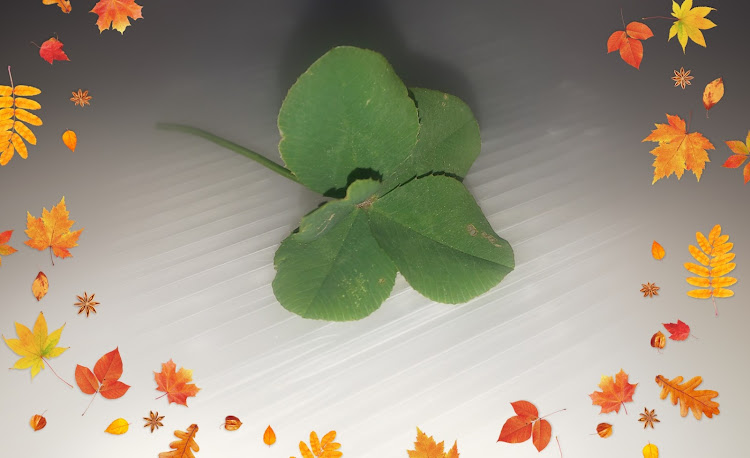 86の五つ葉のクローバー🍀・四つ葉のクローバー🍀に関するカスタム事例の投稿画像2枚目
