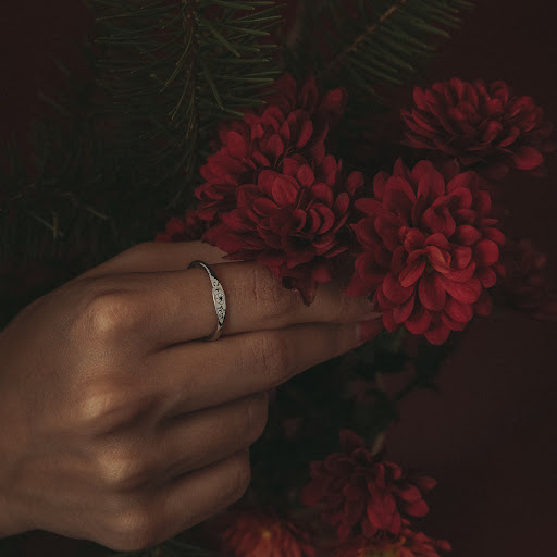 Title 2, Stainless Steel Ring December Birthday Flower C...