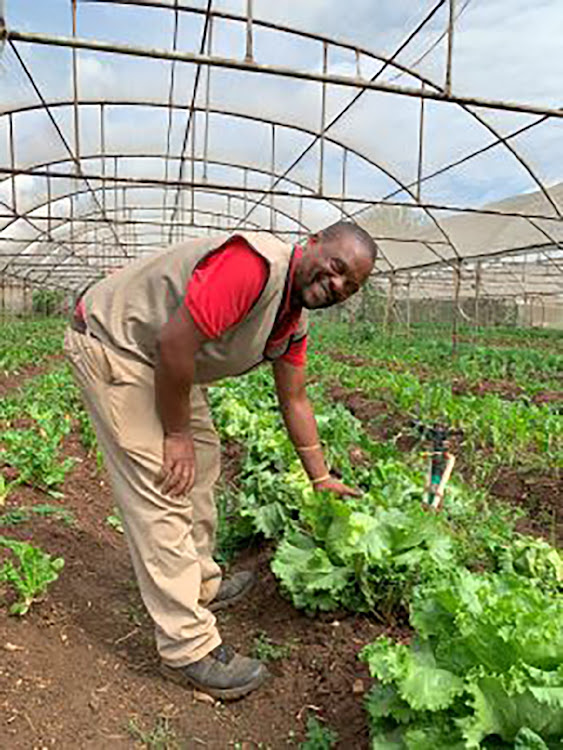 The food hub produces spinach, spring onion, tomato, sugar cane, rosemary, sage and geranium.