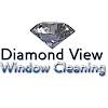 Diamond View Window Cleaners Ltd Logo