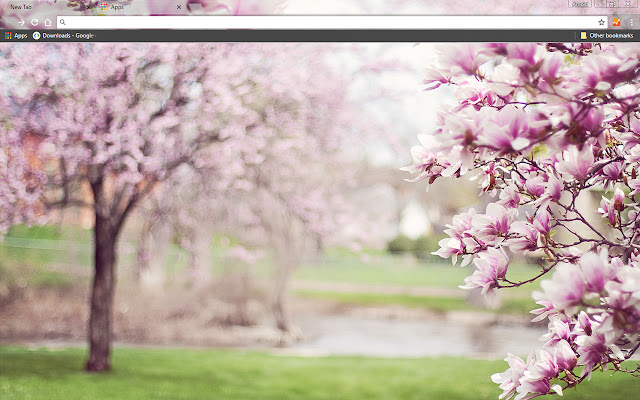 Magnolia Trees chrome extension