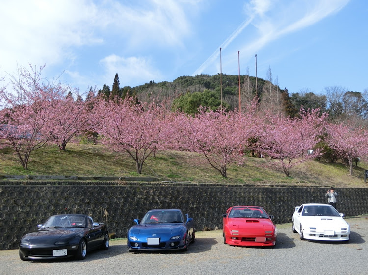 ロードスターのRX-7・河津桜・フルーツバス停・FC・FDに関するカスタム事例の投稿画像1枚目