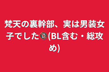 梵天の裏幹部、実は男装女子でした🔞(BL含む・総攻め)