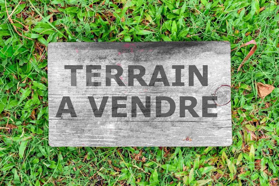 Vente terrain  13000 m² à Mazeray (17400), 85 000 €