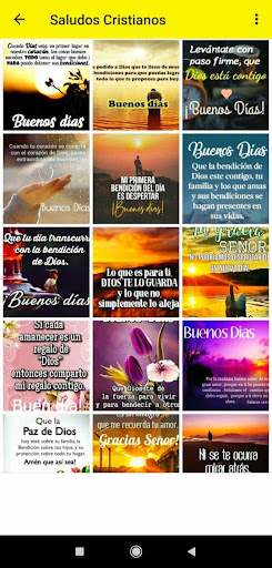 Frases de Buenos Días, Tardes y Noches