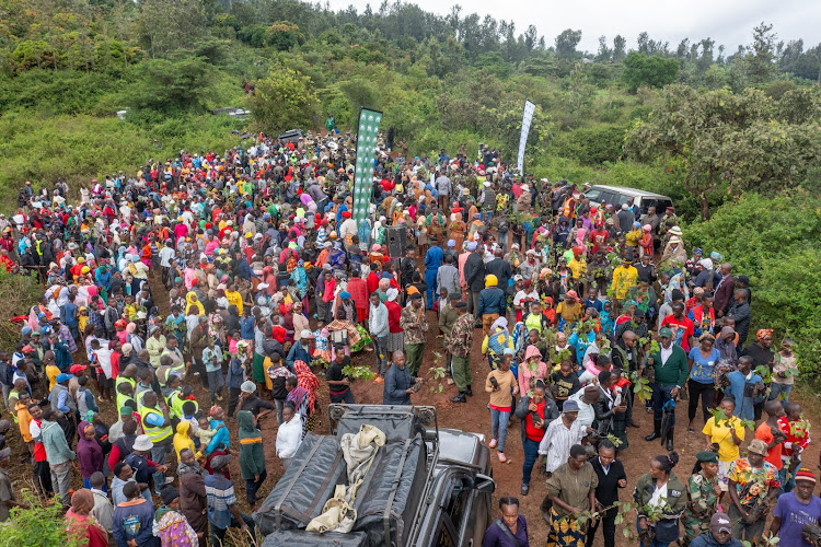 Residents of Murang'a County throng Kiambicho Forest Karua Hill A during the national tree planting day on May 10, 2024.