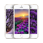 Cover Image of Download Garden Wallpaper HD 1.0.1 APK