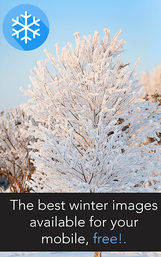 免費下載攝影APP|Winter Images app開箱文|APP開箱王