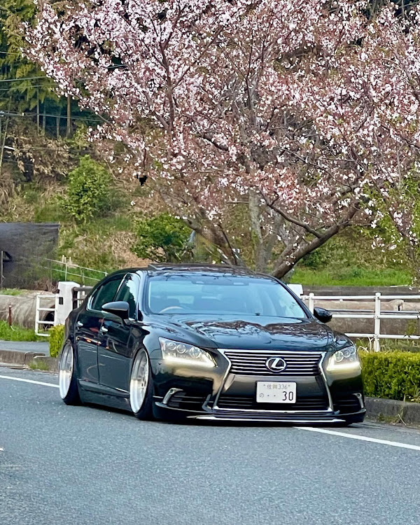 LSのLS460L後期・BBS SUPER RS・サクラと愛車に関するカスタム事例の投稿画像1枚目