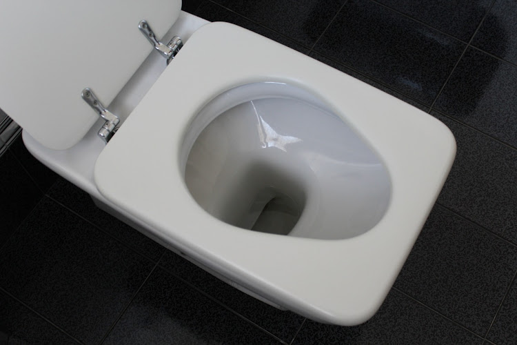 Generic image of a toilet seat.